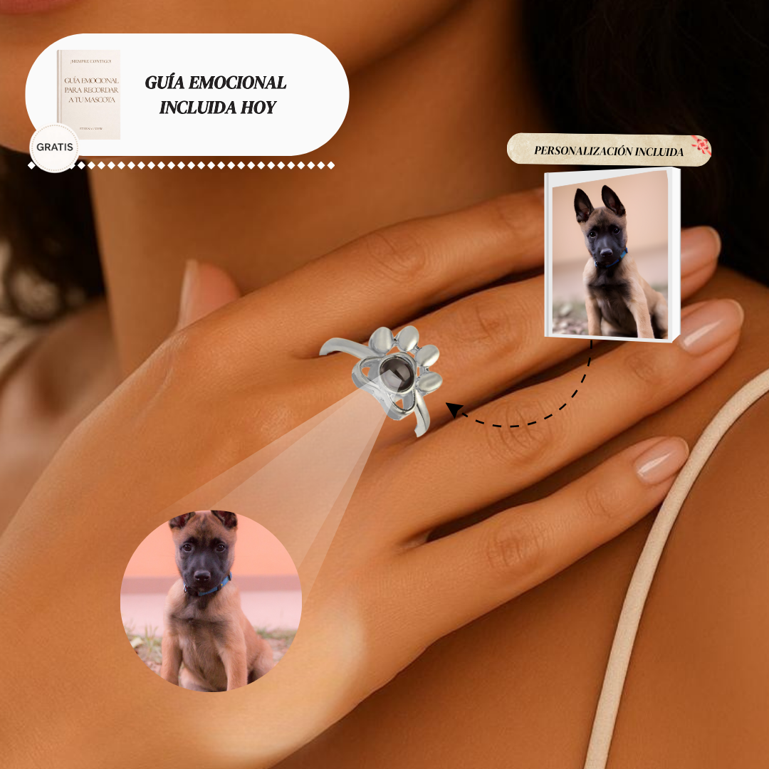 Anillo Recuerdo Eterno