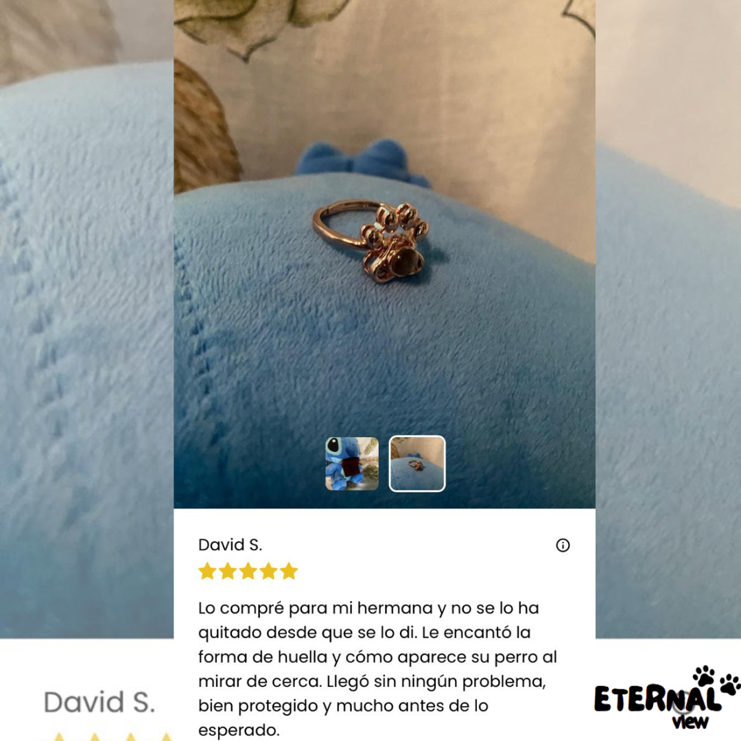 Anillo Recuerdo Eterno